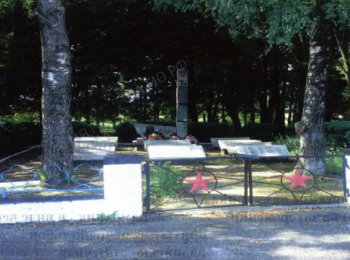 Калининградская обл., Гвардейский р-н, п. Зорино, центральная часть