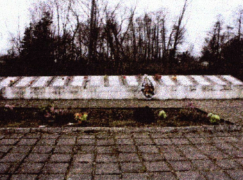 Калининградская обл., Краснознаменский р-н, п. Весново, ул. Гусева