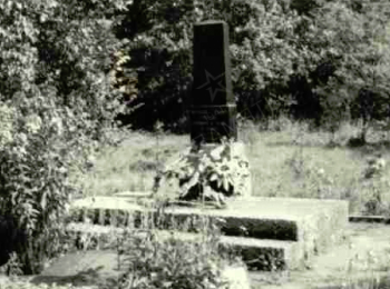 Калининградская обл., Славский р-н, п. Гастеллово