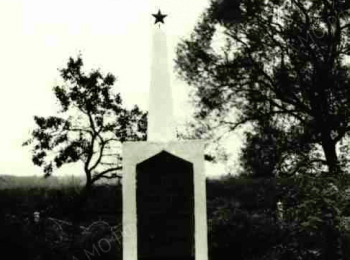 Калининградская обл., Правдинский р-н, г. Правдинск, территория ГЭС