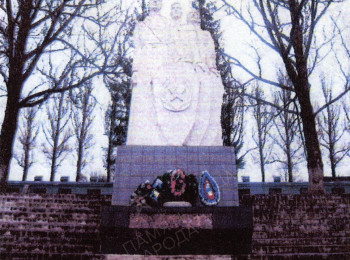 Калининградская обл., Гвардейский район, п. Славинск, северо-восточная окраина