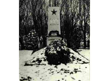 Московская обл., Истринский р-н, д. Чесноково, Обушковский с/с