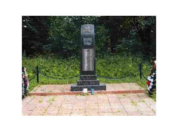 Московская обл., Рузский р-н, с.п. Волковское