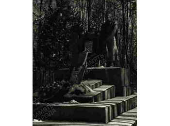 Московская обл., Истринский р-н, парк Брыковской средней школы, Брыковский с/с