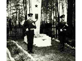 Смоленская обл., Ельнинский р-н, ц.д. Пронино, 10 км от г. Ельня