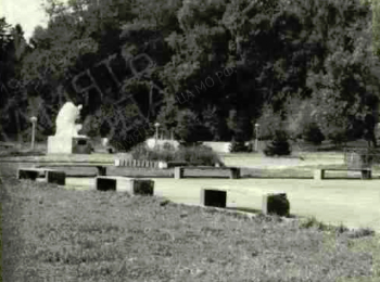 п. Переславское, Зеленоградский р-н, Калининградская обл., Россия