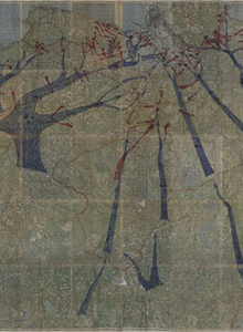 Карта боев войск ЛенФ на ближних подступах к Ленинграду