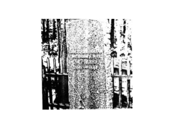 Ленинградская обл. Кингисеппский р-н, д. Детково, севернее, 5 м восточнее от дороги на оз. Глубокое