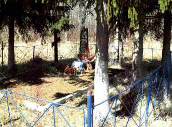 Новгородская обл., Старорусский р-н, с.п. Новосельское, д. Байново