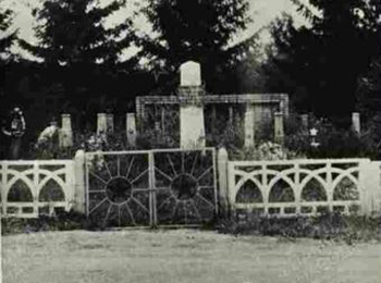 Новгородская обл., Валдайский р-н, Сухонивский с/с, д. Сухая Нива