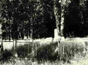 Новгородская обл., Парфинский р-н, п. Ростани