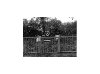 Ленинградская обл., Кировский р-н, м.о. с.п. Путиловское, с. Путилово, около, д. Горная Шальдиха, южная окраина, ул. Сиреневая