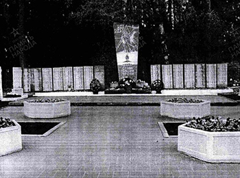 Псковская обл., Плюсский р-н, г.п. Плюсса, п. Плюсса