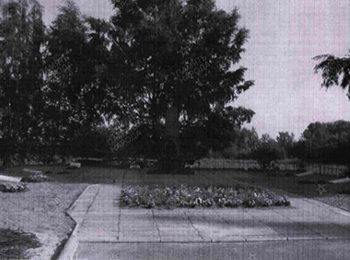 Псковская обл., Псковский р-н, Ершовская вол., д. Жидилов Бор, братское захоронение