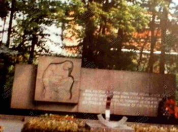 г. Колпино, территория Ижорского завода