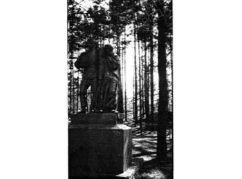 Ленинградская обл., г. Луга, южная окраина, оз. Ср. Толони, западный берег, воинское захоронение