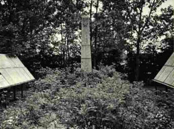 Ленинградская обл., Кировский р-н, п. Назия, гражданское кладбище