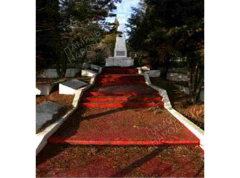 г. Севастополь, Балаклавский р-н, г. Балаклава, ул. Спартаковская