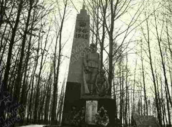 Беларусь, Гродненская обл., Слонимский р-н, д. Масиловичи, южная окраина, 300 от деревни