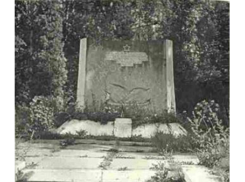 Ленинградская обл., Кировский р-н, Павловская волость, п. Дачное