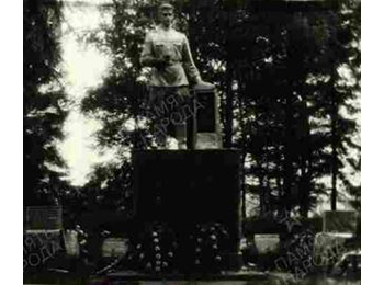 Ленинградская обл., Всеволжский р-н, 2 км севернее п. Н.-Дубровка