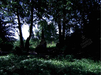 г. Смоленск, п. Анастасино