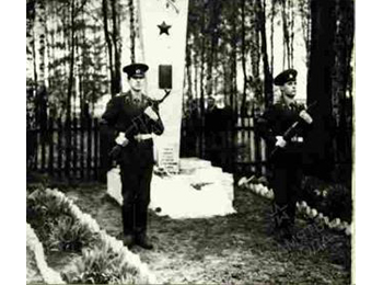 Смоленская обл., Ельнинский р-н, ц.д. Пронино, 10 км от г. Ельня