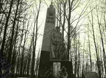 Беларусь, Гродненская обл., Слонимский р-н, д. Масиловичи, южная окраина, 300 от деревни