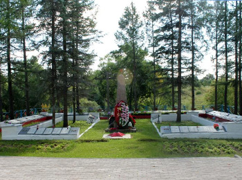 Старорусский р-н, с.п. Медниковское, д. Давыдово