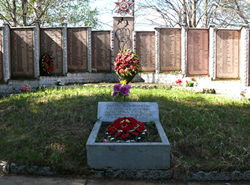 Псковский р-н, д. Ланева Гора