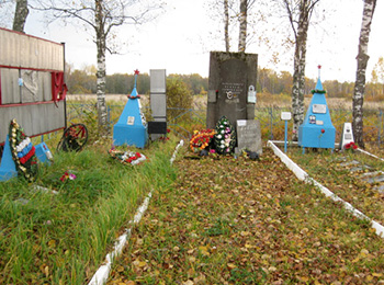 Старорусский р-н, д. Ефремово