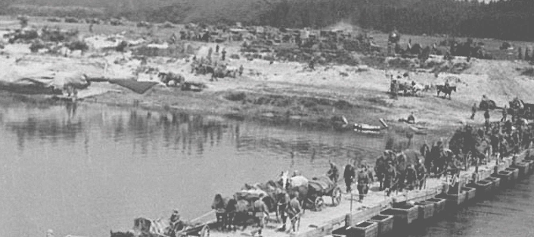 Освобождение Киева и Житомира