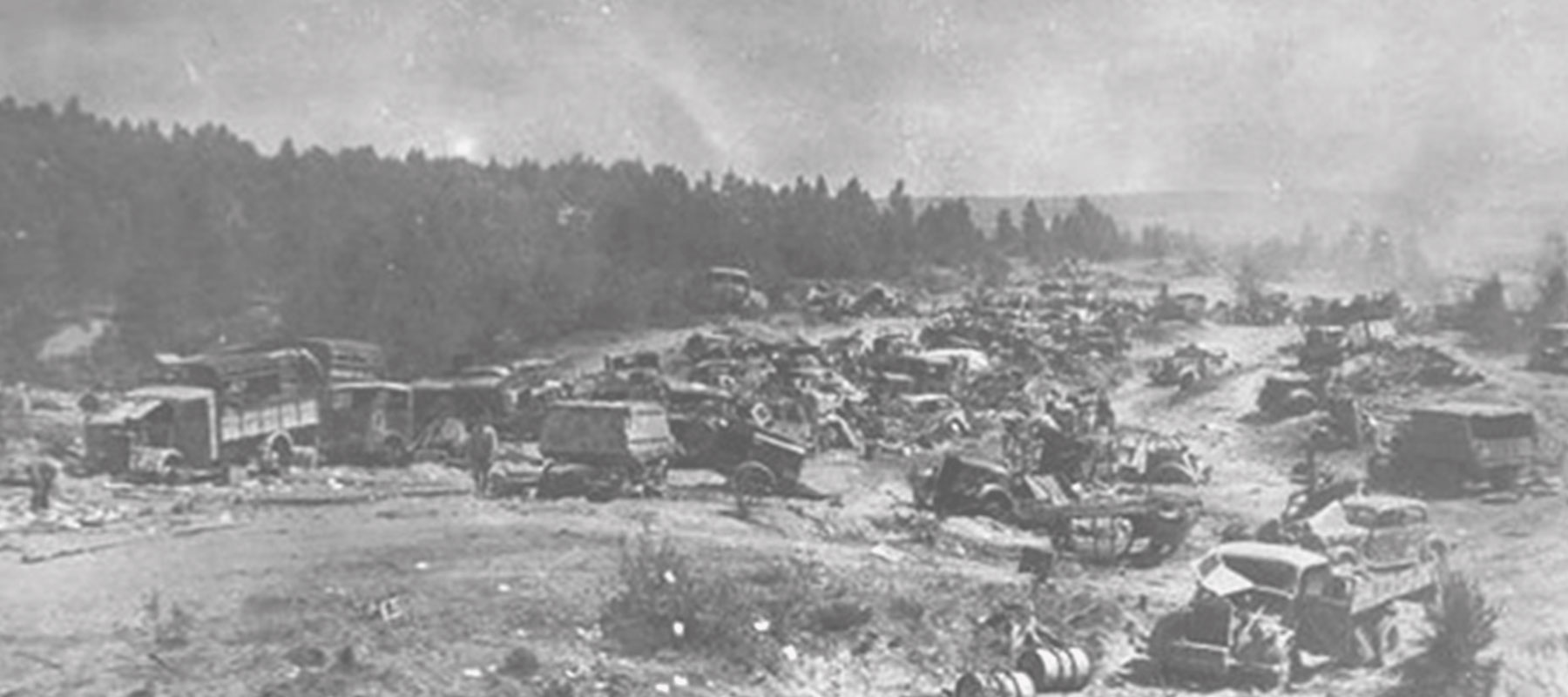 Освобождение Киева и Житомира